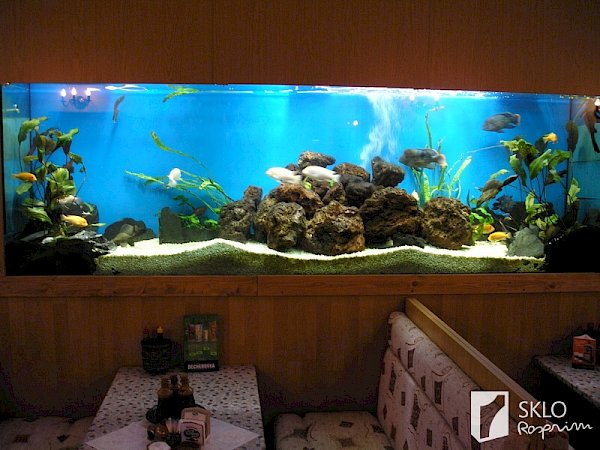Dlouhé vestavěné akvárium na stěně v restauraci, podél něj jsou stoly a polstrované lavice na sezení